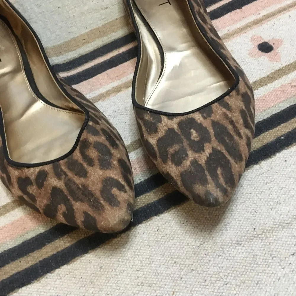 Ann Taylor Loft 7.5 women’s cheetah print Ballerina flat shoes pointy toe GUC